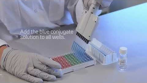 Running the test - Performing Wieslab Complement System Screen