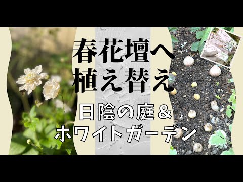 日陰ホワイトガーデン植え替え 球根 ビオラ クリスマスローズ等宿根草植え付け Youtube