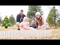 CUTTING DOWN OUR OWN CHRISTMAS TREE + DECORATING IT🎄 | a vlogmassy vlog ❤️