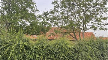 LIVE AT AN ABANDONED FARMHOUSE WITH EVERYTHING LEFT BEHIND AND OLDTIMER IN BARN