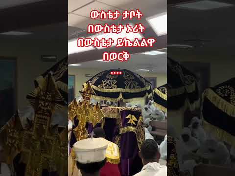 ውስቴታ ታቦት በውስቴታ ኦሪት በውስቴታ Duet Chromakey Habesha Greenscreens Love Videoproduction