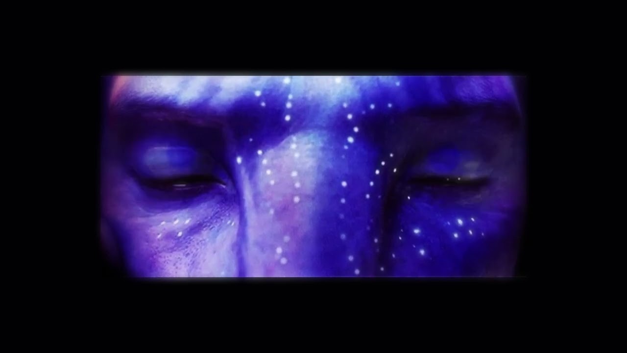 𝐛𝐞𝐚𝐮𝐭𝐢𝐟𝐮𝐥 𝐜𝐫𝐞𝐚𝐭𝐮𝐫𝐞𝐬 - 𝐫𝐢𝐨 𝟐 [ 𝐬𝐥𝐨𝐰𝐞𝐝 / 𝐫𝐞𝐯𝐞𝐫𝐛 ]