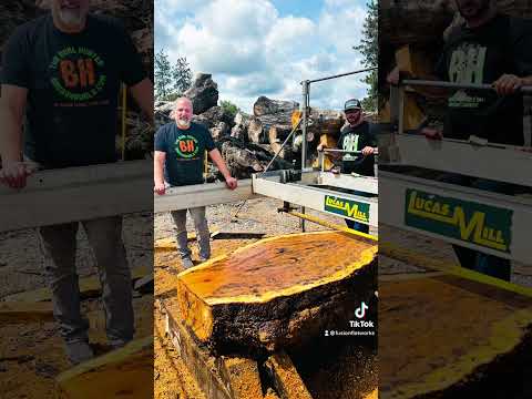 Video: Is dooie hout 'n regte woord?