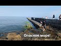 Опасное Черное море! Спасенные животные из Херсона.