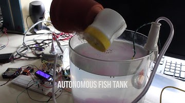 Spring 2017 Final Projects