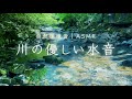 【睡眠用bgm】やさしい水の音、透明な川のせせらぎに癒される1時間【自然環境音｜みたらい渓谷/奈良】