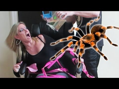 terrifying-tarantula-prank