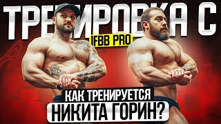 картинка: Как тренируется Никита Горин? Полная тренировка с Профессионалом