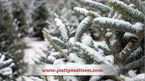 Patty Mattson - Brenda Lee Rockin Around The Chris...