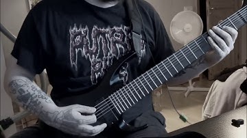 Defeated Sanity - Butchered Identity Guitar Cover.