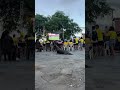 Sea Lion Casually Waddles Past World Cup Watch Party