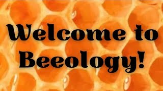 Welcome To Beeology! Unboxing The Bee Box! 🐝