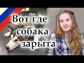 Вот где собака зарыта, Russian idioms, русские фразеологизмы