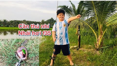 Câu Cá Lóc,Lure Cá Lóc.Nhái Hơi.Cá Táp Liên Tục.Mồi Giả Câu Lóc |Đại Ngáo Vlog #17