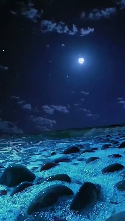 #music #titanic #movie #classic #song #remix #beach #dj #lyrics