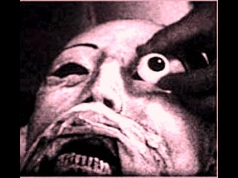 nekrophil nekrophil