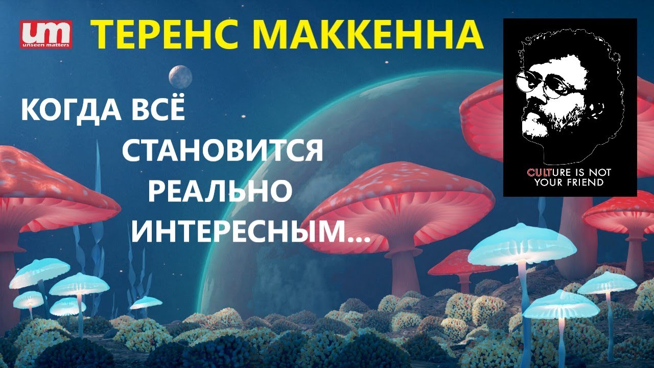 Теренс МакКенна – Когда Всё Становится Реально Интересным... - YouTube