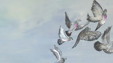 Thumbnail of Tom Misch - Falling For You (Official Audio)