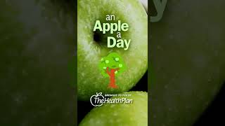 Breaking Down Health Insurance Terms - An Apple A Day