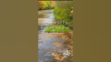 سورة البقرة للشيخ وديع اليمني