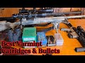 The Best Varmint Cartridges And Bullets