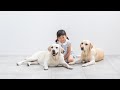 今年も家族写真を撮りに行きました！犬と入れる写真館へ