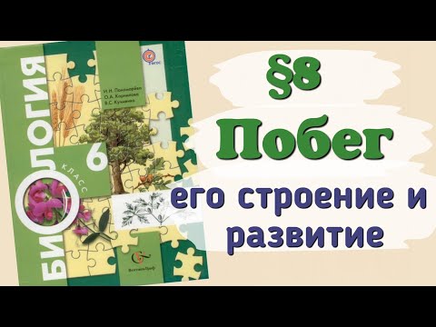 Краткий пересказ §8 Побег, его строение и развитие. биология 6 класс Пономарёва