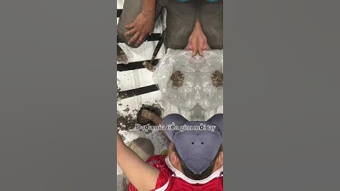 Thông cống bồn cầu bị nghẹt giá rẻ Quận 5, hút hầm cầu sạch tận đáy tại Sài Gòn - Gọi  0937.407.409