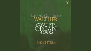 Organ Concerto in G Major: IV. Aria. Largo