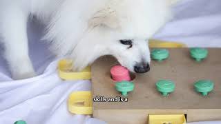5 Brain Games to Keep Your Dog Smart and Happy (No Toys Needed!) screenshot 5