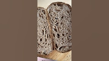 100% whole grain sourdough crumb #artisanbread #sourdough #bread #sourdoughbread  #shorts