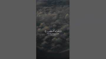 القارئ الشيخ وديع اليمني