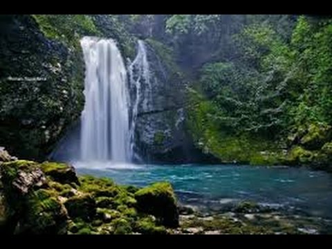 მეგრული სიმღერის საღამო-megruli simgeris sagamo - თამარ ზარქუა