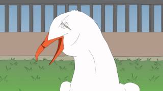 SEAGULL FIGHT