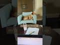 #officedog #howtostartanonlinebusiness #dogsoftiktok #tiktokforbusiness