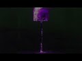 [5] FREE LOOP KIT 2025 - VOID RIM (Lucki, Veeze, Ambient Type Loops)
