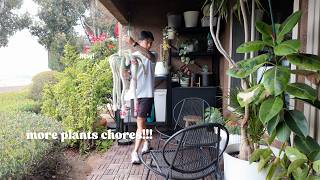 A Day of Plant Chores 🌿 Patio + More Repotting!