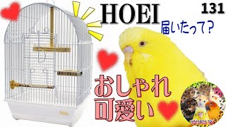 オシャレな鳥かご・ケージ（HOEI プチファースト101A）セキセイインコ用｜ キャバリア犬131　dogs and budgerigar