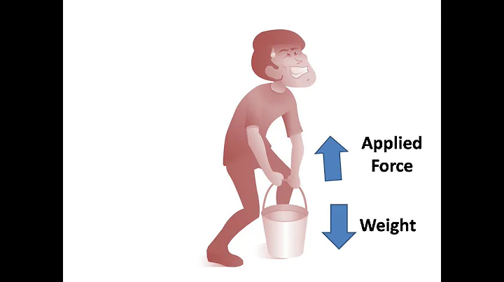 Balanced and Unbalanced Forces in Real life with Explanation