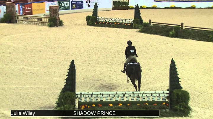 1389 SHADOW PRINCE Julia Wiley, Class 301 Field Hu...