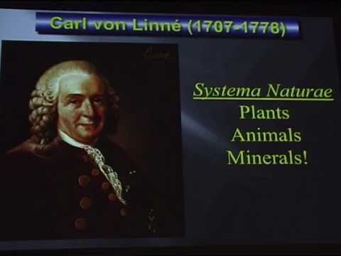 Linnaeus lecture 2011 - Mineral Surfaces, Geochemical Complexities, and the Origins of Life