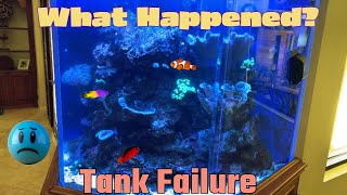 Messy Saltwater tank by Aquarium Service Tech 2,580 views 1 month ago 9 minutes, 48 seconds