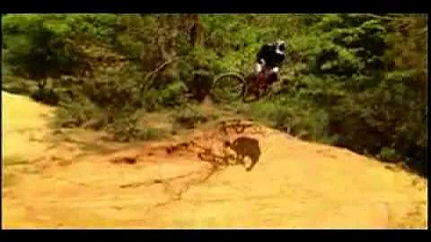 New World Disorder 5