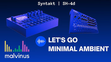 Roland SH-4d & Elektron Syntakt | Playing (no talking)
