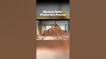 Biomass Pellet Production Process#woodpelletmachine #pellets #renewableenergy #woodwork