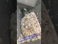 frozen meat grinder/mincer model250 #machine #foodmachine #machinerytechnology