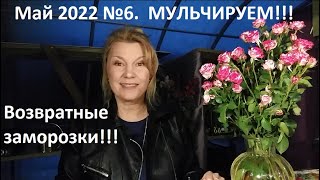 Май 2022 №6. Мульчируем огород. Возвратные заморозки.