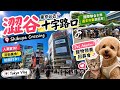 住在日本最繁忙的十字路口，当地人周末都在做什么？ | Shibuya Crossing VLOG+ Hidden Weekend Market & Pet Adoption 🐶