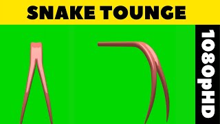 Snake Tounge Animations || Green Screen || 1080pHD