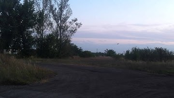 Walkera v120d05 v2. with wood blades -- test